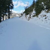Entlang der Forstwege