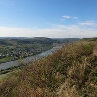 Blick entlang der Hangkante flussabwärts. Unten im Moseltal liegt Wehlen