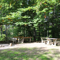 Pause im Wald Hertingen
