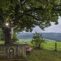 Sellmanns Linde