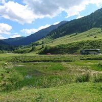 Bus auf der Schönangeralm Auffach Wildschönau  FG T.L. Rechte Wildschönau Tourismus.jpg
