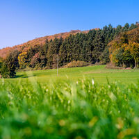 HalleWestfalen - wunderbare Aussicht