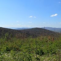 Blick zum Schneeberg