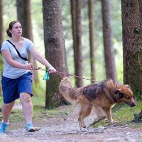 Spaziergang im Wald