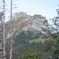 Blick zum Aggenstein und Bad Kissinger Hütte