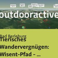 Wanderung in Bad Berleburg: Tierisches Wandervergnügen: Wisent-Pfad - Rothaarsteig-Spur