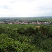 Ausblick Michaelskapelle bei Deidesheim