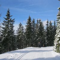 Wechsel-Panoramaloipe
