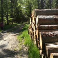 Von der Remptendorfer Bucht nach Isabellengrün