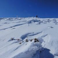 Puchberg - Schneebergdörfl - Mieseltal - Waxriegel