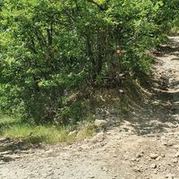 8.6 km spitze Abzweigung