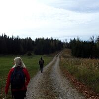 vom Lärchbaumriegel zum Saurüssel