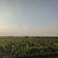 Weinbergslage Zinkelerde