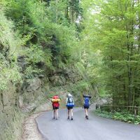 Weg nach Schwandbachbrücke - Alpenpanoramaweg Etappe 18