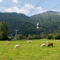 Mit der Breitenbergbahn bequem auf den Pfrontener Hausberg gondeln