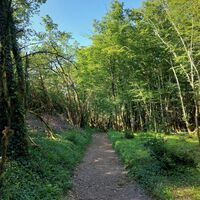 Chemin du Lac d'Armaille