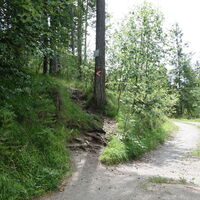vom Forstweg links in den Aufstiegssteig