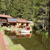 Teich bei Greis 18