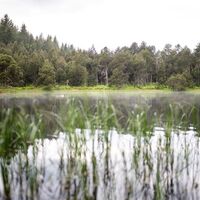 Wandern am Blindensee