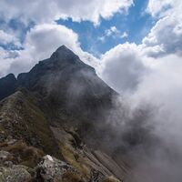 Hochwildstelle