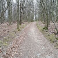 am Waldweg Richtung F.J.Warte