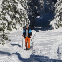 Unterwegs im Winterwald