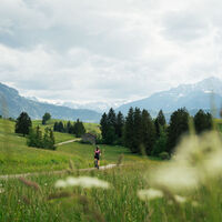 Rennradtour im Allgäu