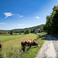 die ausgetretenen Pfade entlang des Sees