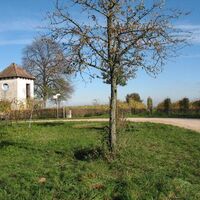 muellheim4-061102