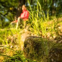 Naturschutzgebiet Wartekopf
