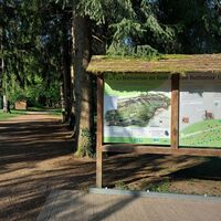 Wald von Rothonne in Belley