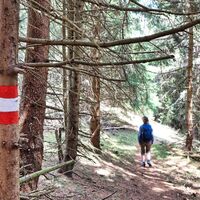 Der Weg ist gut markiert