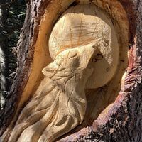 Der Wolf heult den Mond an