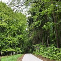 Apfelrundweg, Gemeinde Etzersdorf-Rollsdorf, Oststeiermark