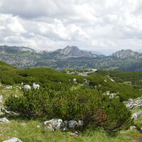 Rückblick - unterhalb haben wir gequert