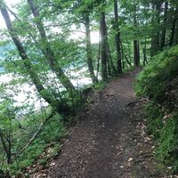 Forstsee