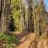 Der "verwunschene Trail"