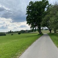 Richtung Ruhestetter Ried