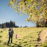 baumhoroskopweg - familienwanderung_img_58021501