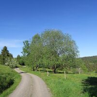 Kilometerweite Wege in bester Höhenluft