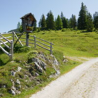 über die Forststraße gehts Richtung Kirchberg