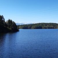 Forstsee
