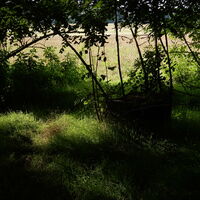 Lobau/Lobgrund - Groß Enzersdorf