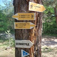 Weg nach Velingrad, Velingrad