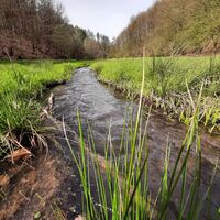 Rosbachtal
