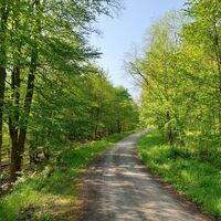 Rund um Waldbronn
