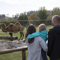 Freizeitpark Rotfelden