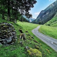 Wanderweg ins Steinriesental