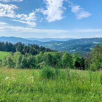 um den buchenberg – stairway to heaven_img_49378640