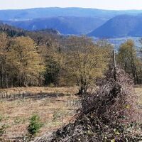 etwas unterhalb Forsthaus Rehstein